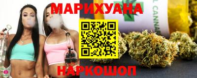 шишки Лесосибирск