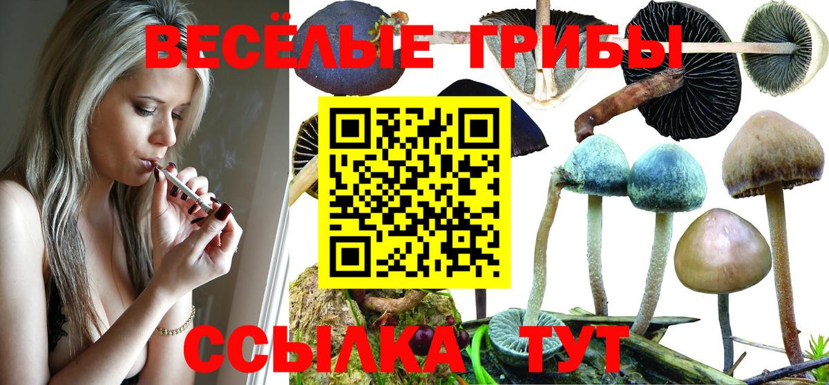 Спасск-Дальний  Псилоцибиновые грибы Magic Shrooms  Псилоцибиновые грибы Magic Shrooms  Вход с VPN 
